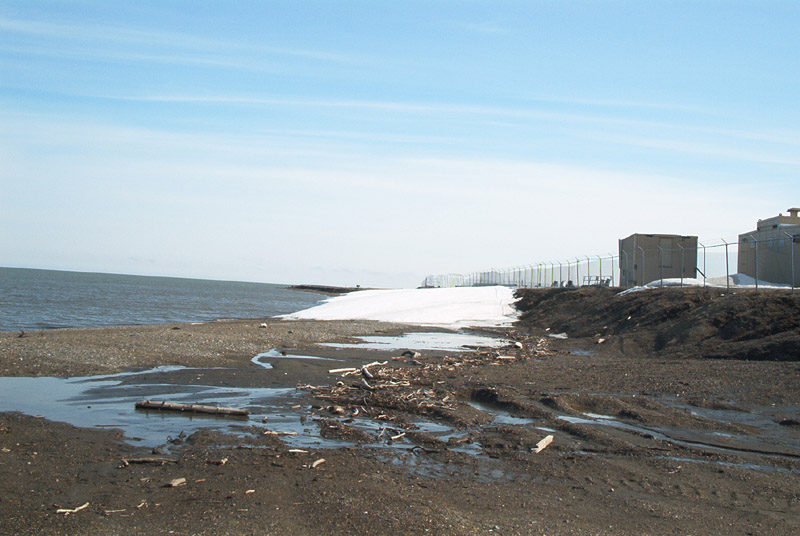 ArcticBeach1