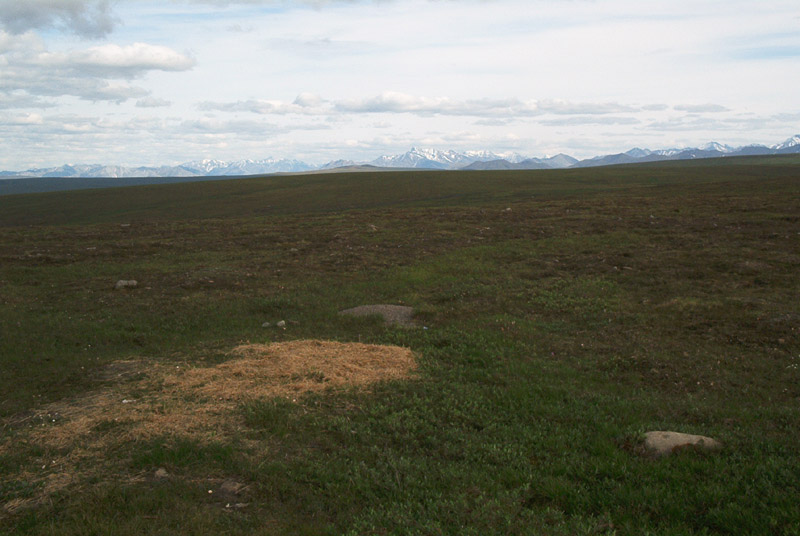 BrooksRangeFromNorth